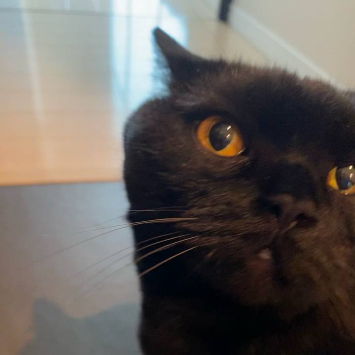 5ffa4700 23de 44f2 960c b53b76a4bf90 1622683676514