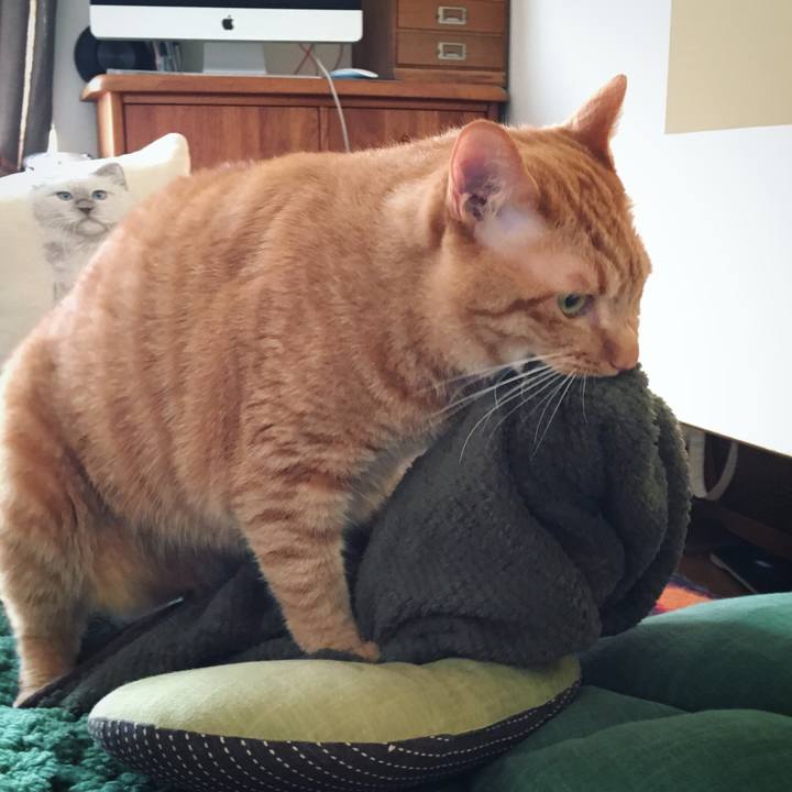 5ffa484f 7a0f 498b 98f2 59a09bdaadff 1555663515491