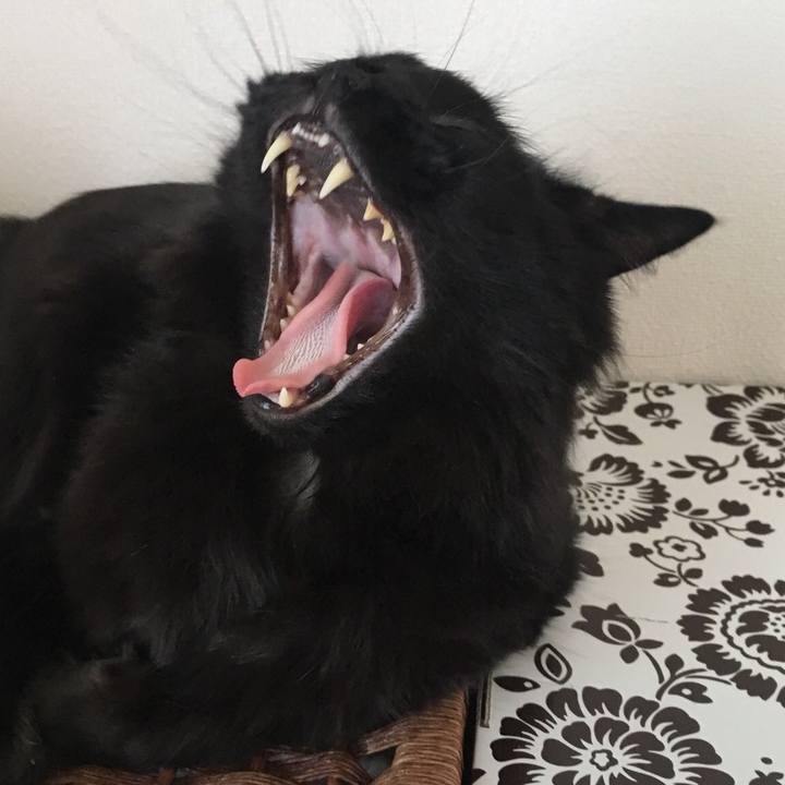 5ffa7213 720e 489e 9eb5 13060b24d421 1527467724762