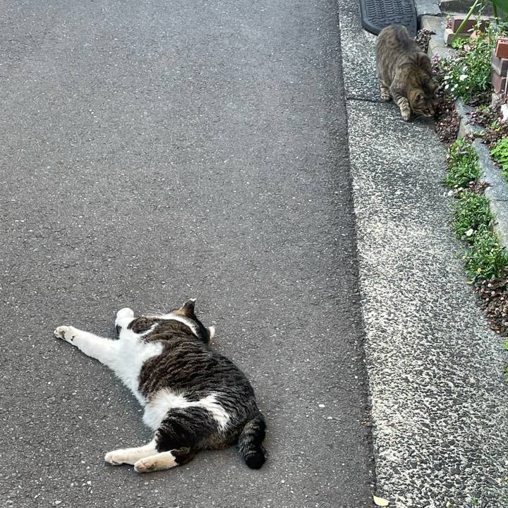 5ffaa284 b4f4 4476 9af7 b2e79c9d059b 1649490086365