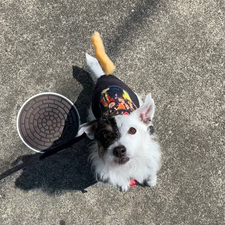 5ffaaf4e 5558 41f4 a5fc 2cf31d789f4f 1683679273662