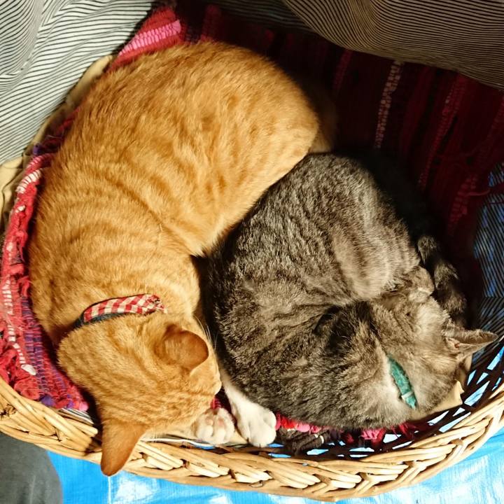 5ffadf5f 8225 4138 98c8 b7d9a1d41b23 1561801389501