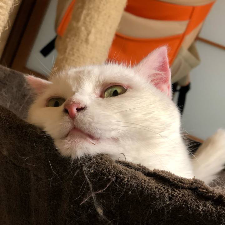 5ffb62c8 b43a 4120 9879 1bd99470bf43 1561161314684