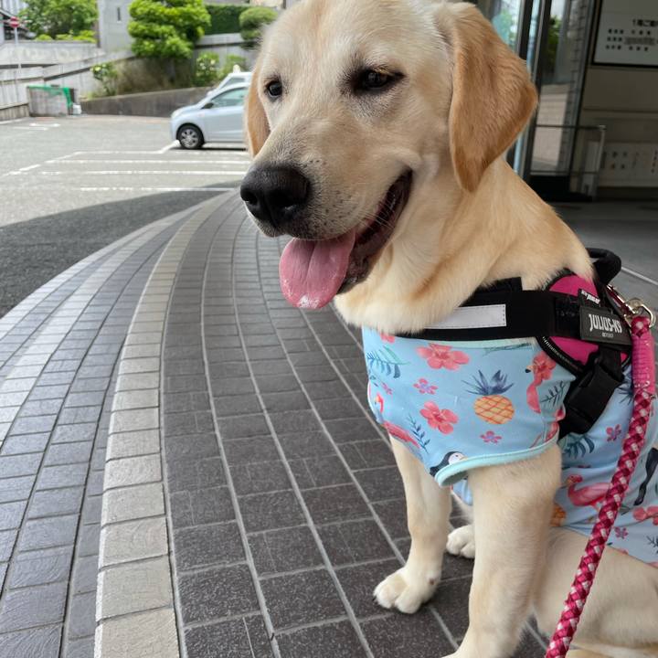 5ffb8bef 9847 4f6e 89dd e8f4d04988a5 1624020525783