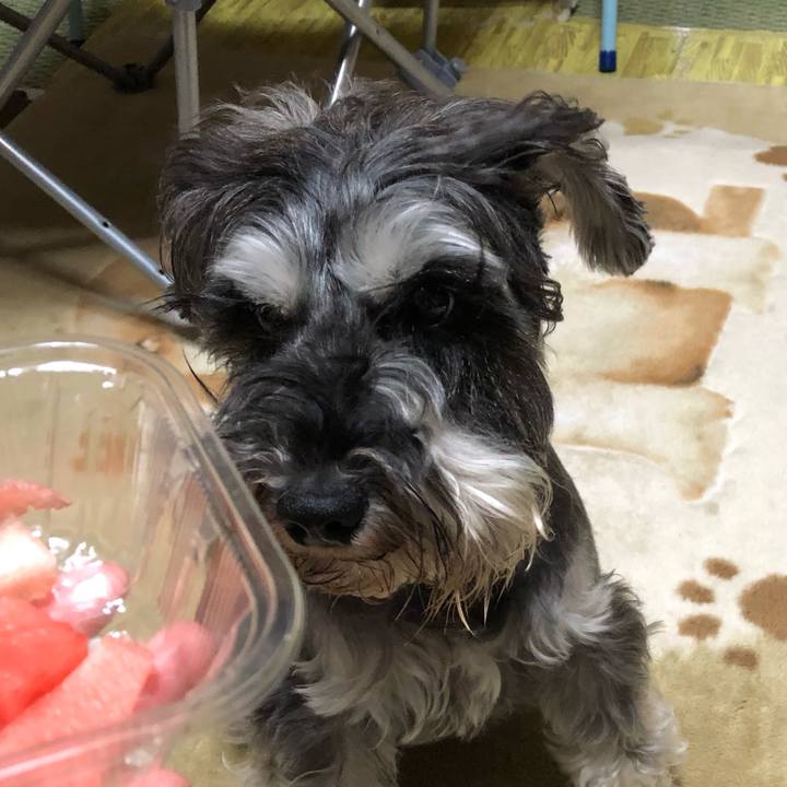 5ffba565 cc5b 4e3b b555 02c2ef6f98ab 1561126543458