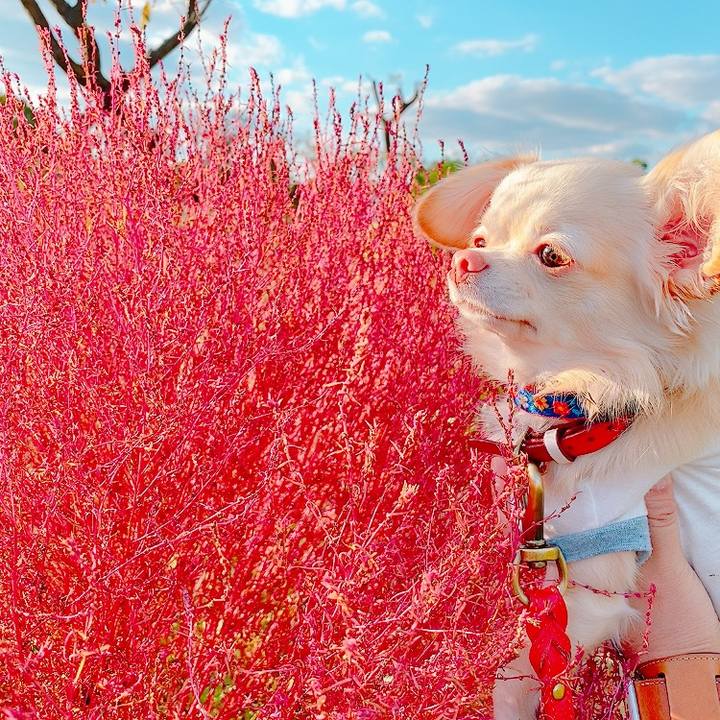 5ffbaf96 4e20 409d 8146 54ac708a251a 1634553576111