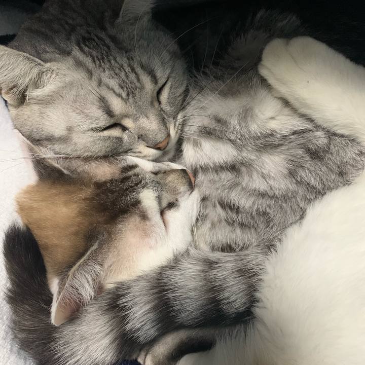 5ffbb19e 0099 4ad3 a58c c9687cdad829 1640082161952