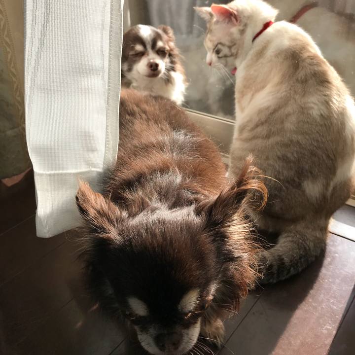 5ffbb508 e9ee 4f72 af6f 5b4d9f8208d2 1511671388224