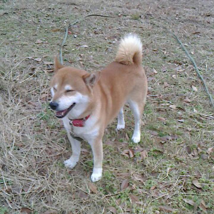 5ffbc43a 3510 45d3 8192 ede83e764802 1514631608119