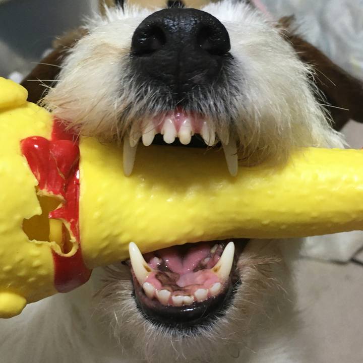 5ffbd0f2 6846 48a9 9fc6 446d9b556790 1618280086655