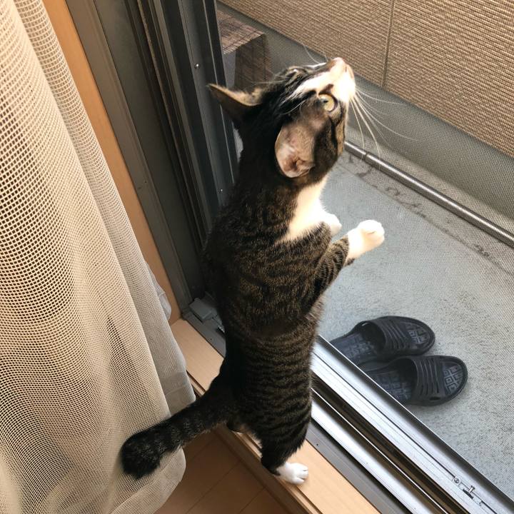 5ffbd7cb c433 460d b3b4 e171da5477ed 1519096440029