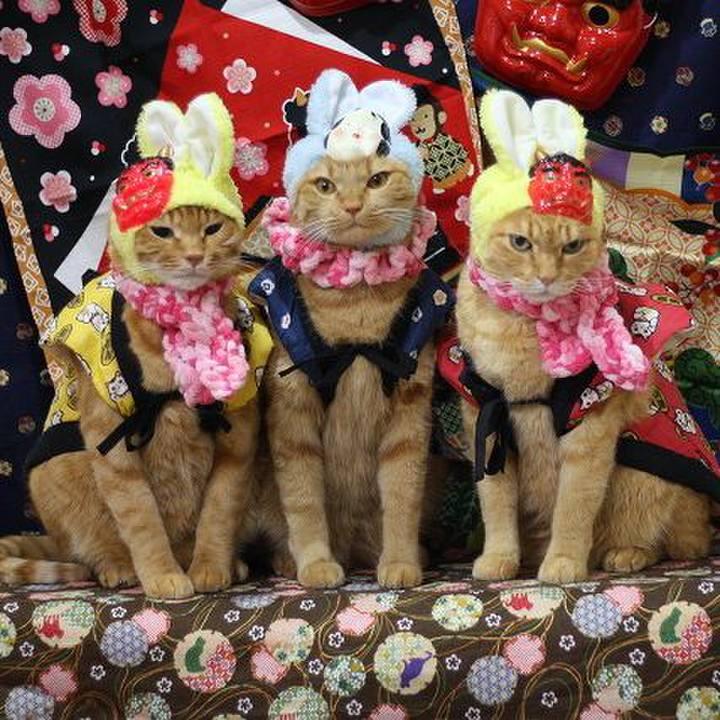 5ffc2e57 fe80 4d68 9e9b 33252d6df34b 1580636583759