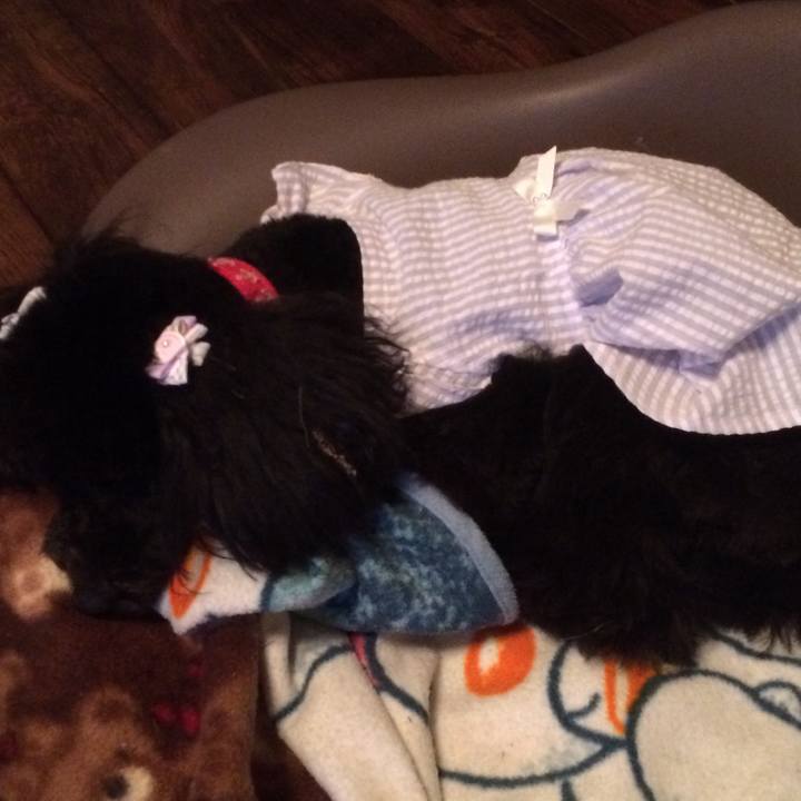 5ffc6be3 c398 4e9f 87ca 2b4fa94c5339 1523619477961