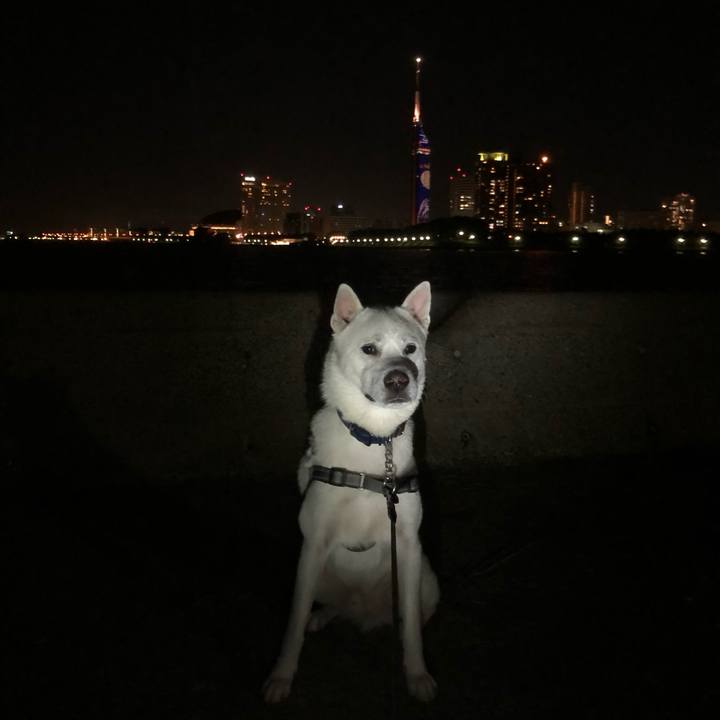 5ffcc12b 5673 4154 8a5d deddfe2b2d13 1599999701997