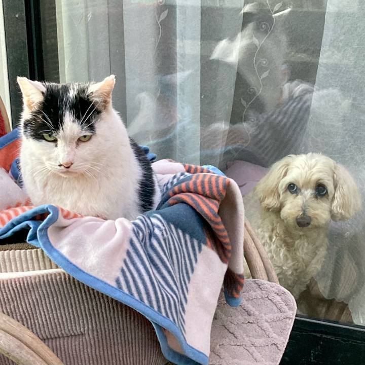 5ffcd24a eb42 49ca 89a9 c55bc4923b5b 1769936633837