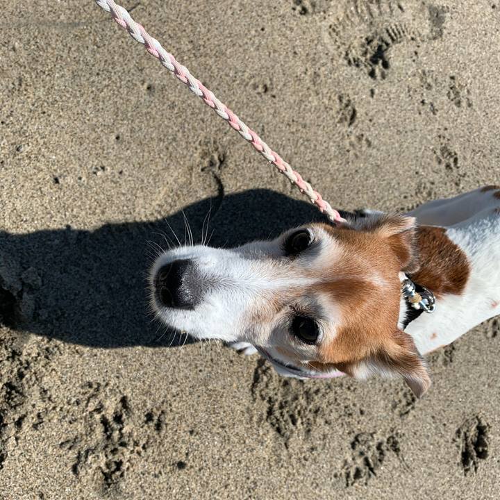 5ffcf0d3 a18e 47a7 bab0 0a4edf95a438 1584179468847