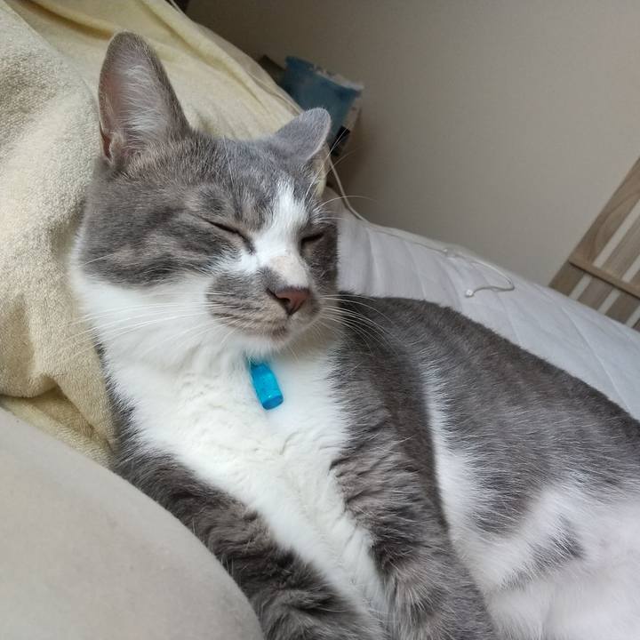 5ffcf731 839d 49bb a8a6 c56029b84511 1597706861680