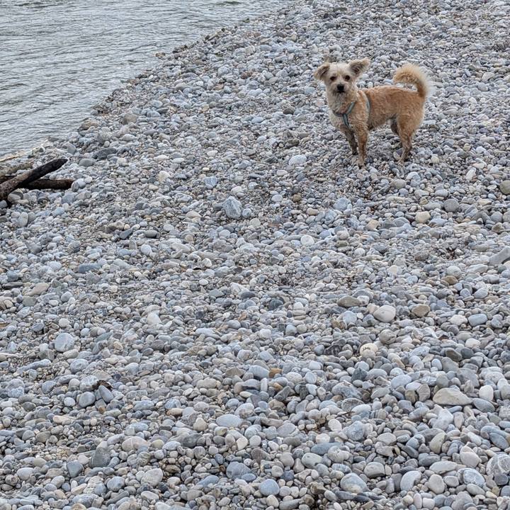 5ffd0428 c756 4d48 a9de 480e24260106 1758880686175