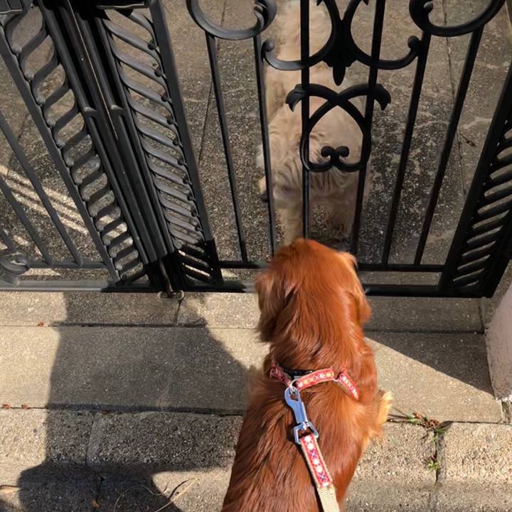 5ffd2e2f 9a3a 4ad7 aa36 22102b368814 1560044027088