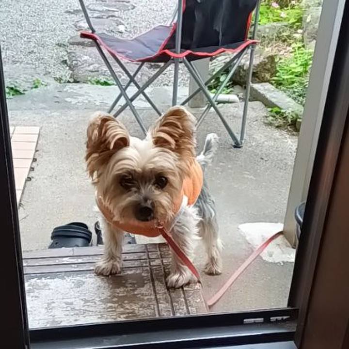 5ffd32d4 25dd 429d 9d6f 95858acd0d51 1762403145347