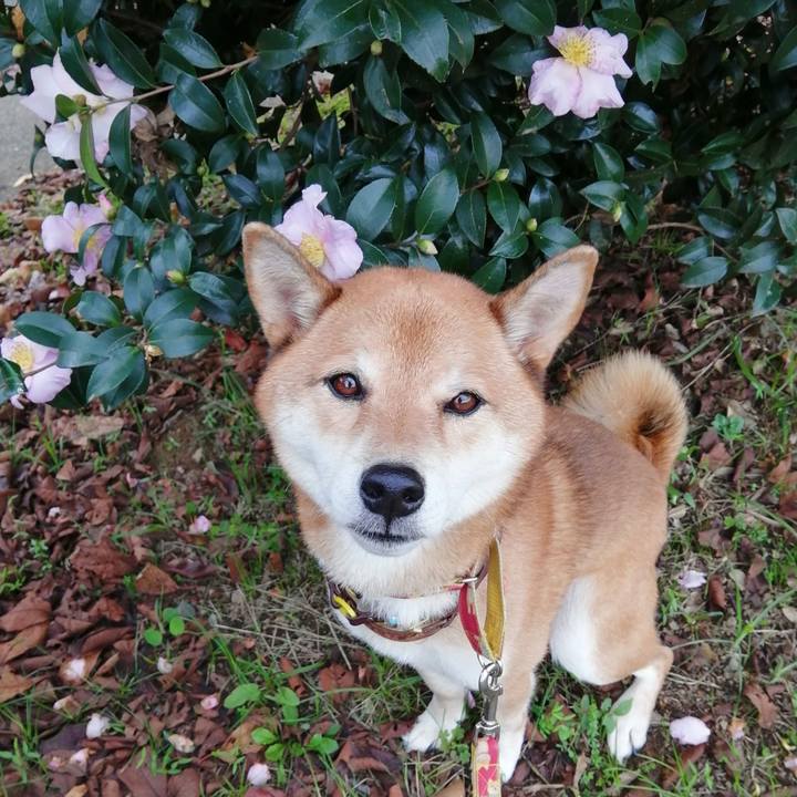 5ffd70dc 0a60 47dd 8b9f 0ccb93dcbd2e 1603351192521