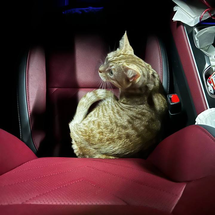 5ffd8d7b 0977 43ad a74e 9bcea2aa678c 1691406931048