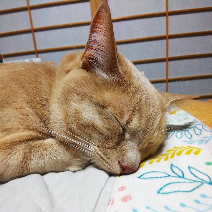 5ffdd4eb 259e 4dce aaa3 c92a63e9f425 1585397582787