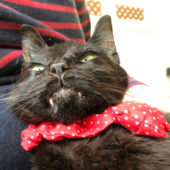 5ffdf4e4 16d0 4973 b749 1b34194afb8d 1558429405378