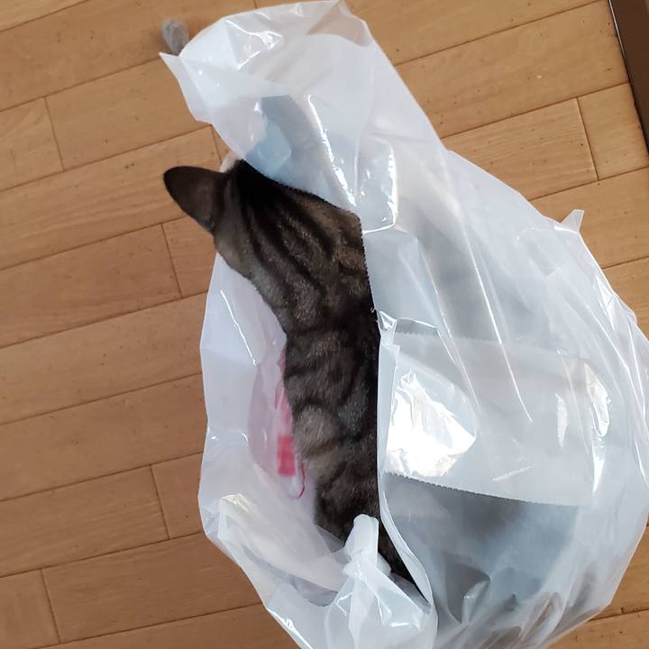 5ffe6cd4 608b 442d aa63 5b2d7a20bd95 1704382735506