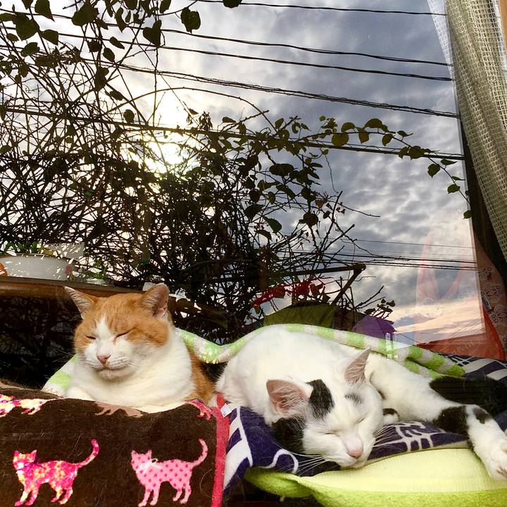 5ffe6f65 a9cb 494a bb30 ae5fbafca0a0 1606257134106