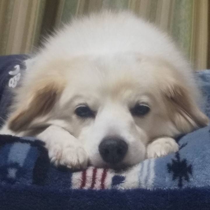 5ffef172 1a50 48f4 b354 1d358823e19a 1639171387412