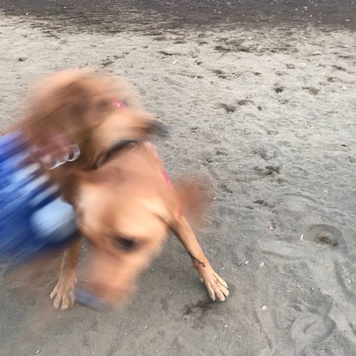 5fff04c3 9a86 4cb3 9735 9036c4ee9a02 1519204500849