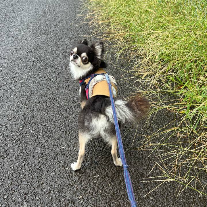 5fff0d9e d6de 424d 9c95 2361bb7b1953 1727106511531