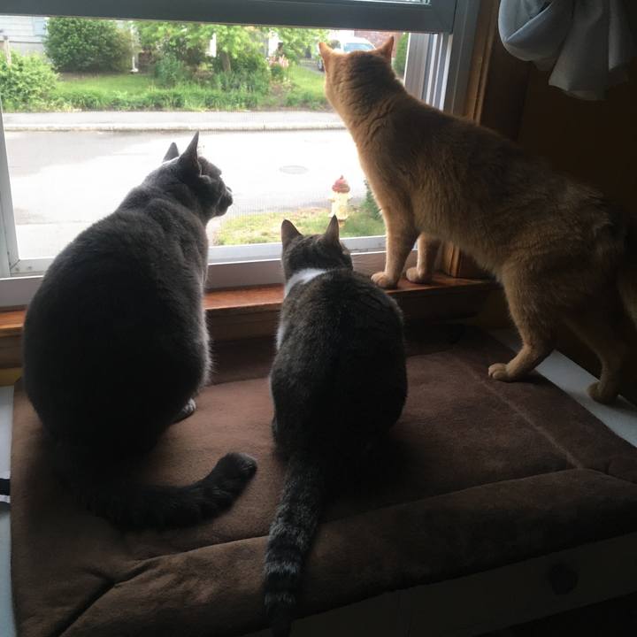 5fff0fa2 92c4 4df7 9734 9a9eed278bc0 1633652279708