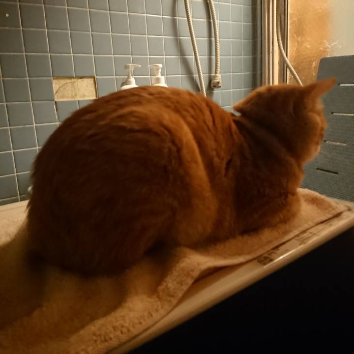 5fff259b d5f3 4e8a ba0a bde6ca5c22b3 1637833404216