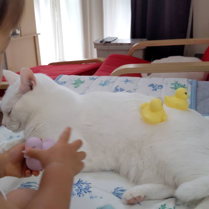 5fff5ee3 7e93 4f5e b107 7ad7d28cdb38 1657850125989