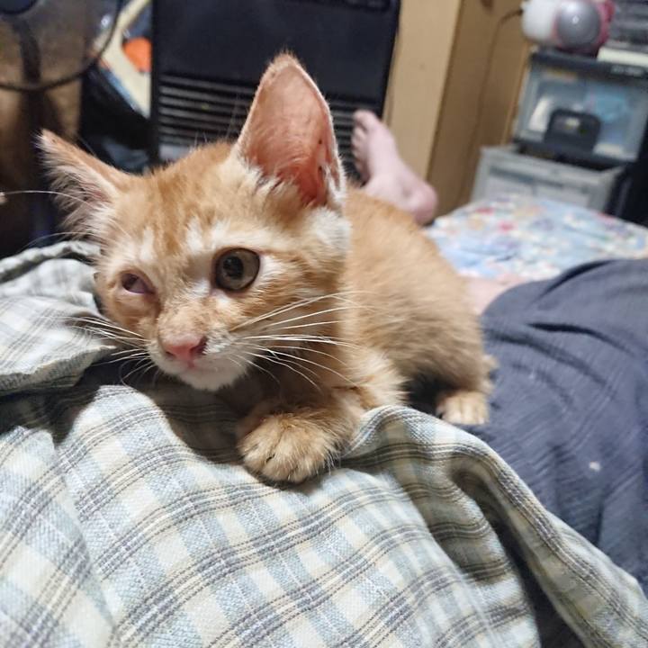 5fff6db3 c329 43d3 a098 92d259b9a9cc 1628167729853