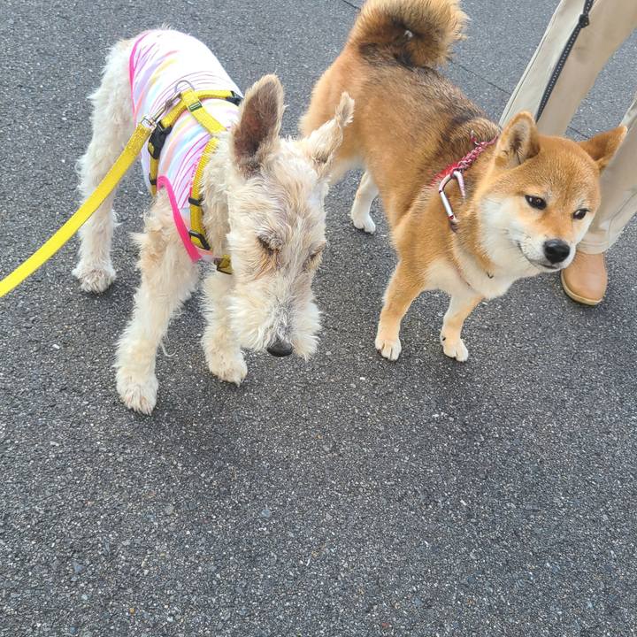 5fff779d 4b15 4d01 8a8b 24e6b1c7bd36 1685618297312