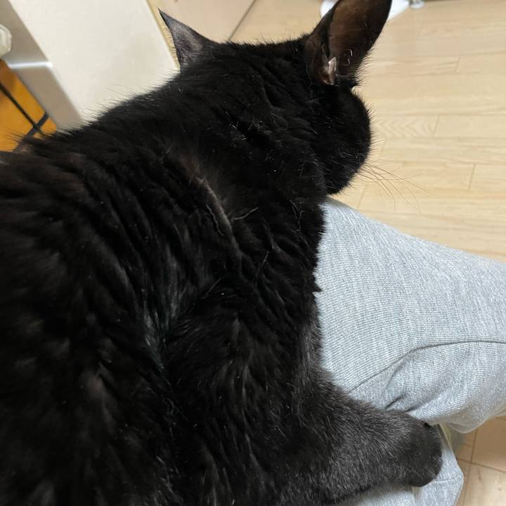 5fff7d40 4a89 4775 955e 38742b35561f 1716558624599