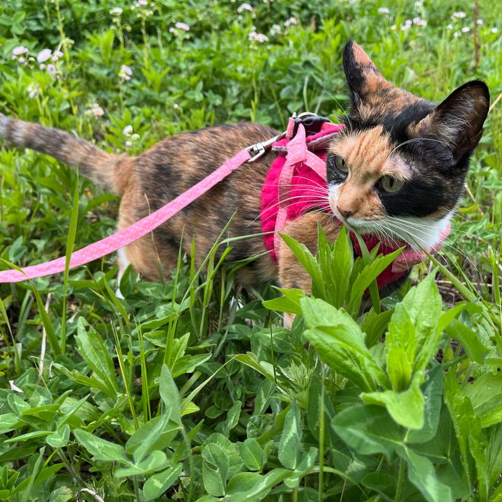 5fff8d56 c27a 4a6c a416 650cb9170008 1683354774527