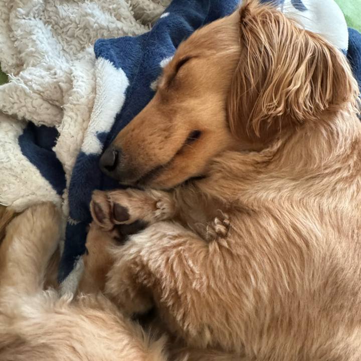 5fffbb2e b510 48f4 b426 aa6040c62d12 1710054927467