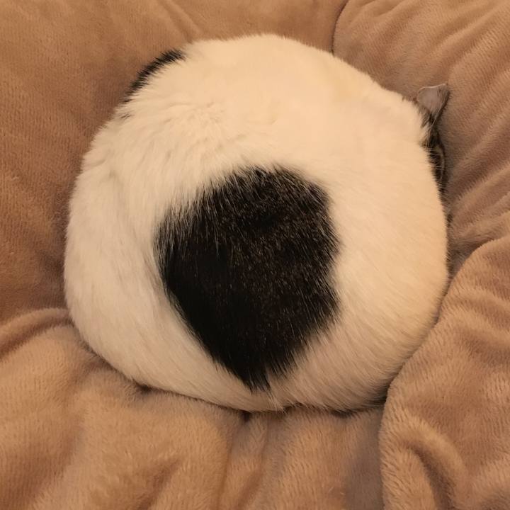 6000200e c1b3 4820 8e11 df5e8513aef6 1586755904970