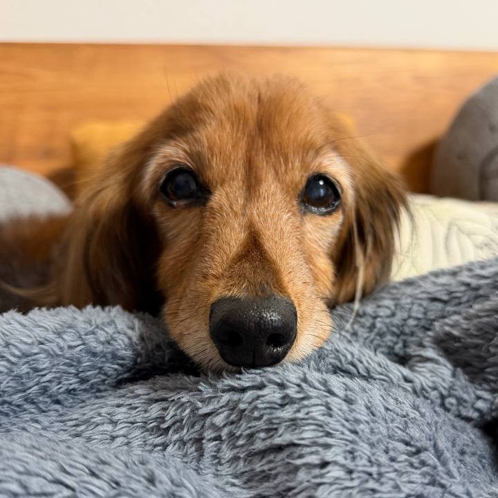 60002263 e2e5 464f ac2b af70142771e2 1774220320645