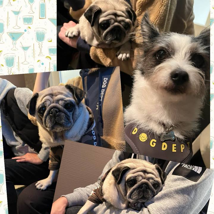 60009878 de4a 4835 bf15 c29613e009d0 1732358447521