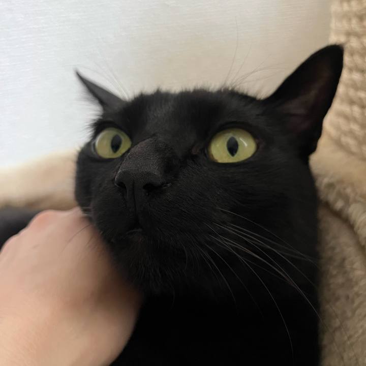 6000fed6 75cb 49e2 9f4f a2be5555ac95 1745370358980