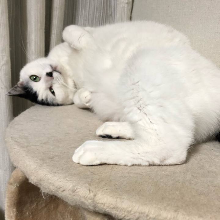 60012d05 e24c 42db ab26 1f76ed07eca9 1577019412096