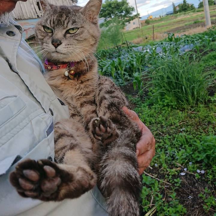 60014a8b 30bc 4bfa a2f7 a4b6187030ea 1593682042946