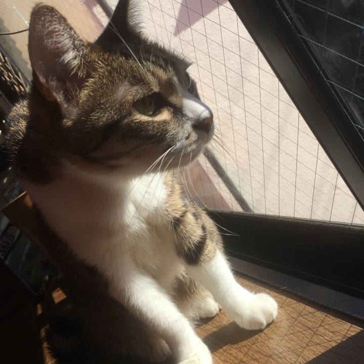 60015488 dd03 4fbe b3fc 9dc15236e80e 1573790646182