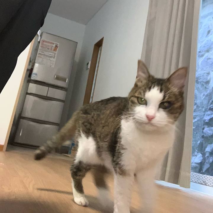 60015ea3 d5b3 44be b117 d1665286ccb1 1590318003013