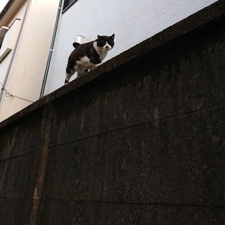 60019adc 87b2 4159 ac70 57ff79d6b64c 1616068586026